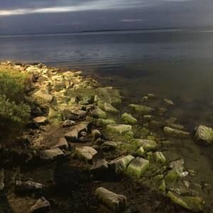 Meet your Posher, Albert